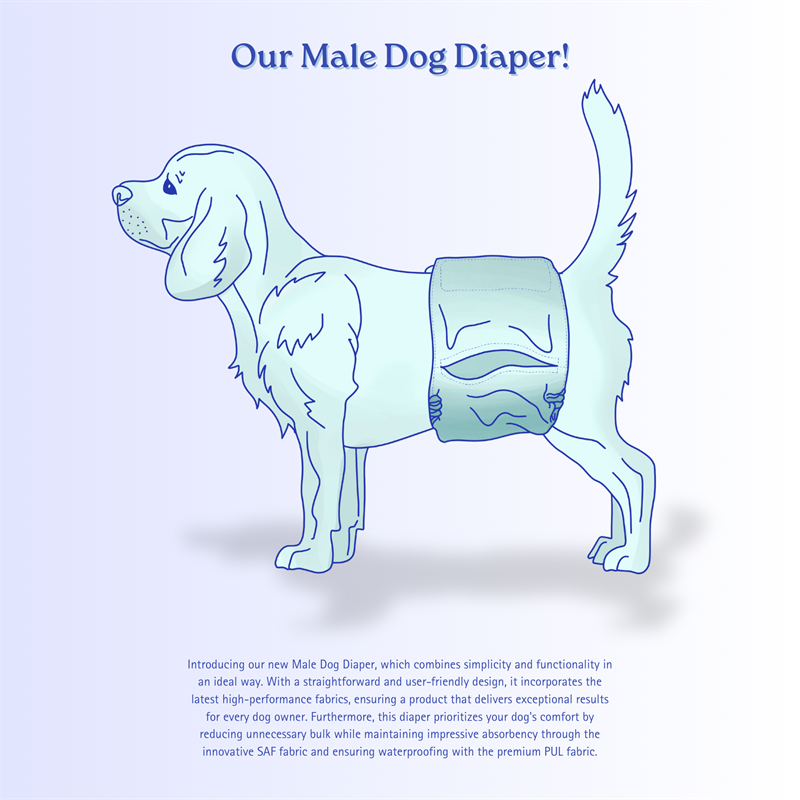 Male Dog Diaper Drawing