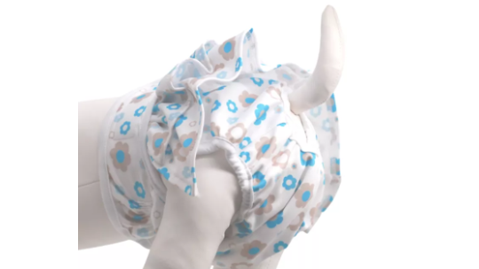 How to Choose the Best Pet Diapers in 2026: A Complete Sizing and Material Guide