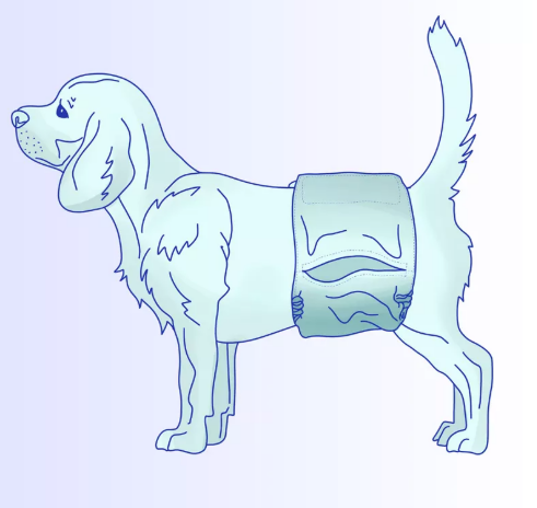 How To Keep A Diaper on A Dog