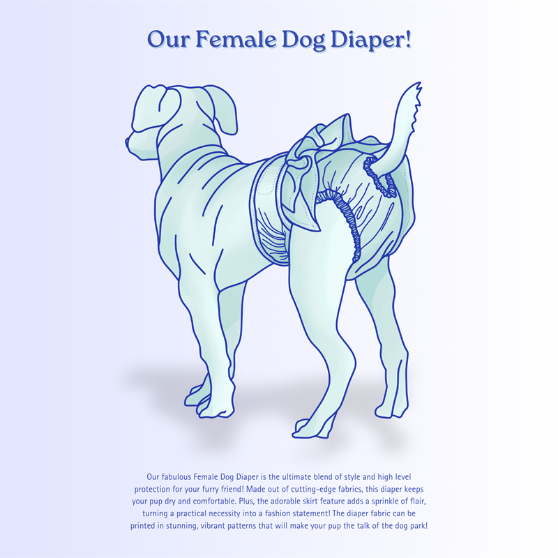 Our Female Dog Diaper