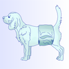 Male Dog Diaper Drawing