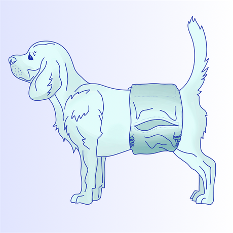 Male Dog Diaper Drawing 4.png