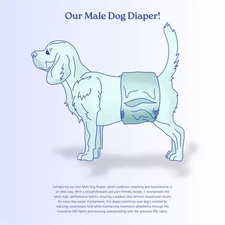 China Male Dog Diaper Manufacturer _ Waterproof & Ultra-Absorbent - KINGSOO.webp
